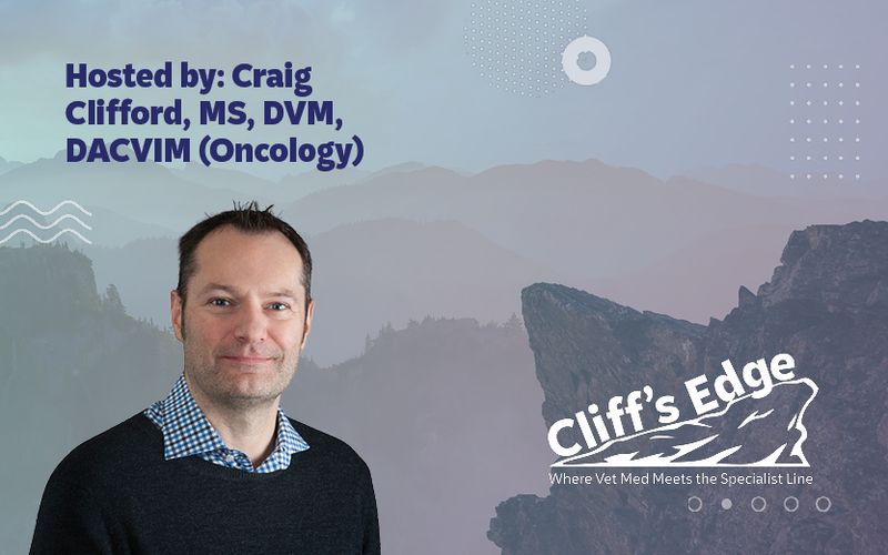 Cliff's Edge