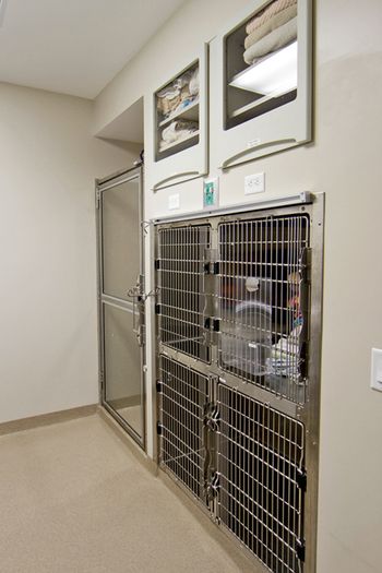 3_ConejoValleyVeterinaryHospital_Isolation_large.jpg