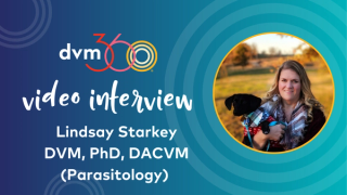 Treating and managing Cytauxzoonosis in feline patients