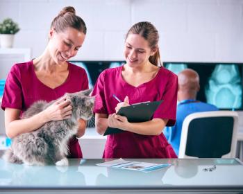 women veterinarians