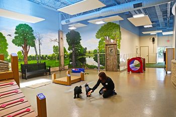 5_BiggerRoadVeterinaryCenter_AdultMontessoriAndDayCare1_450.jpg
