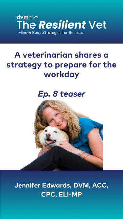 A veterinarian shares a strategy to prepare for the workday