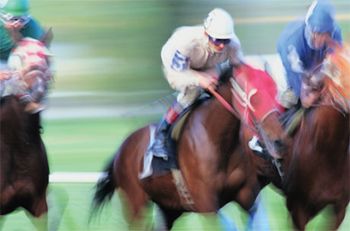 veterinary_equine_5_460-648376-1384338988074.jpg