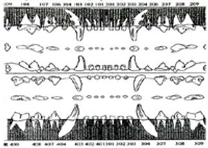 i3_t-722863-1384194714124.jpg