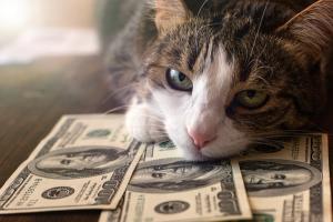 Finance