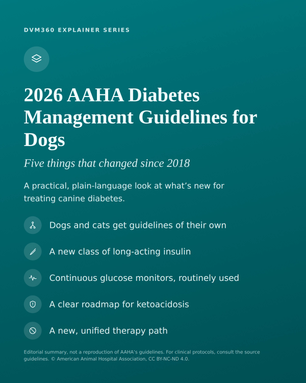 The 5 biggest changes in AAHA's new dog diabetes guidelines