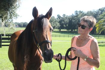 equinecolic-3.JPG