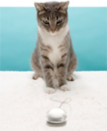veterinary_software_2-638178-1384413836924.jpg