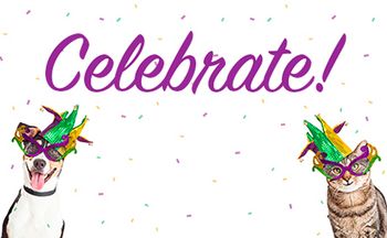 veterinary-dog-and-cat-mardi-gras-party-horizontal-banner-with-room-450px-shutterstock-568779070_celebrate.jpg