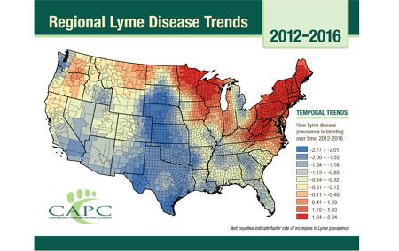 Capc Study Lyme Disease Spreading To Regions Once Thought Low Risk Dvm360 Capc Study Lyme Disease Spreading To Regions Once Thought Low Risk Dvm360