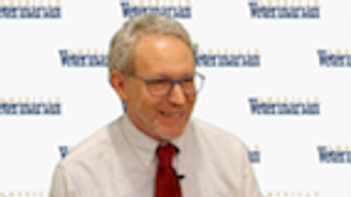 The Biggest Challenge for Veterinarians When Assessing Pain