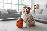 Wrap up: FDA approvals label expansion to include 2 additional ticks, and other news