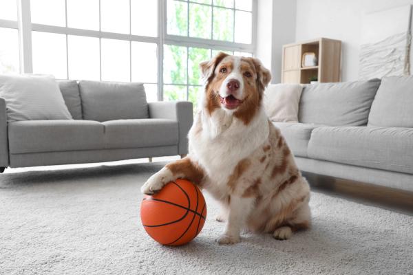 Wrap up: FDA approvals label expansion to include 2 additional ticks, and other news