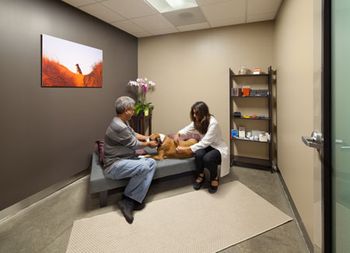 HDD_3_acupuncture_DTLA-835481-1404214690383.jpg