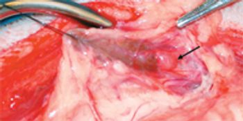 veterinary_0511surgstat_fig1-717866-1384193144066.jpg