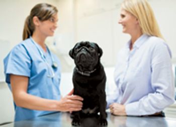 veterinary_Veterinarian-and-owner-discussing-dog_164853742_getty-822280-1404220926125.jpg