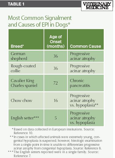 A Quick Review Of Canine Exocrine Pancreatic Insufficiency