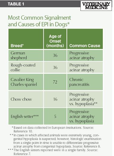 A Quick Review Of Canine Exocrine Pancreatic Insufficiency A Quick Review Of Canine Exocrine Pancreatic Insufficiency