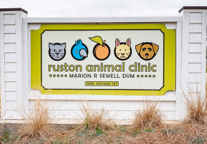 Have fun, will build