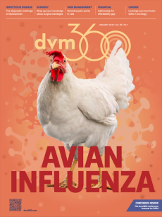 dvm360 January 2024