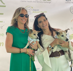 Celebrating hope for future of canine oncology with Take C.H.A.R.G.E