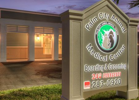 Photo gallery: 28 veterinary hospital signs to survey