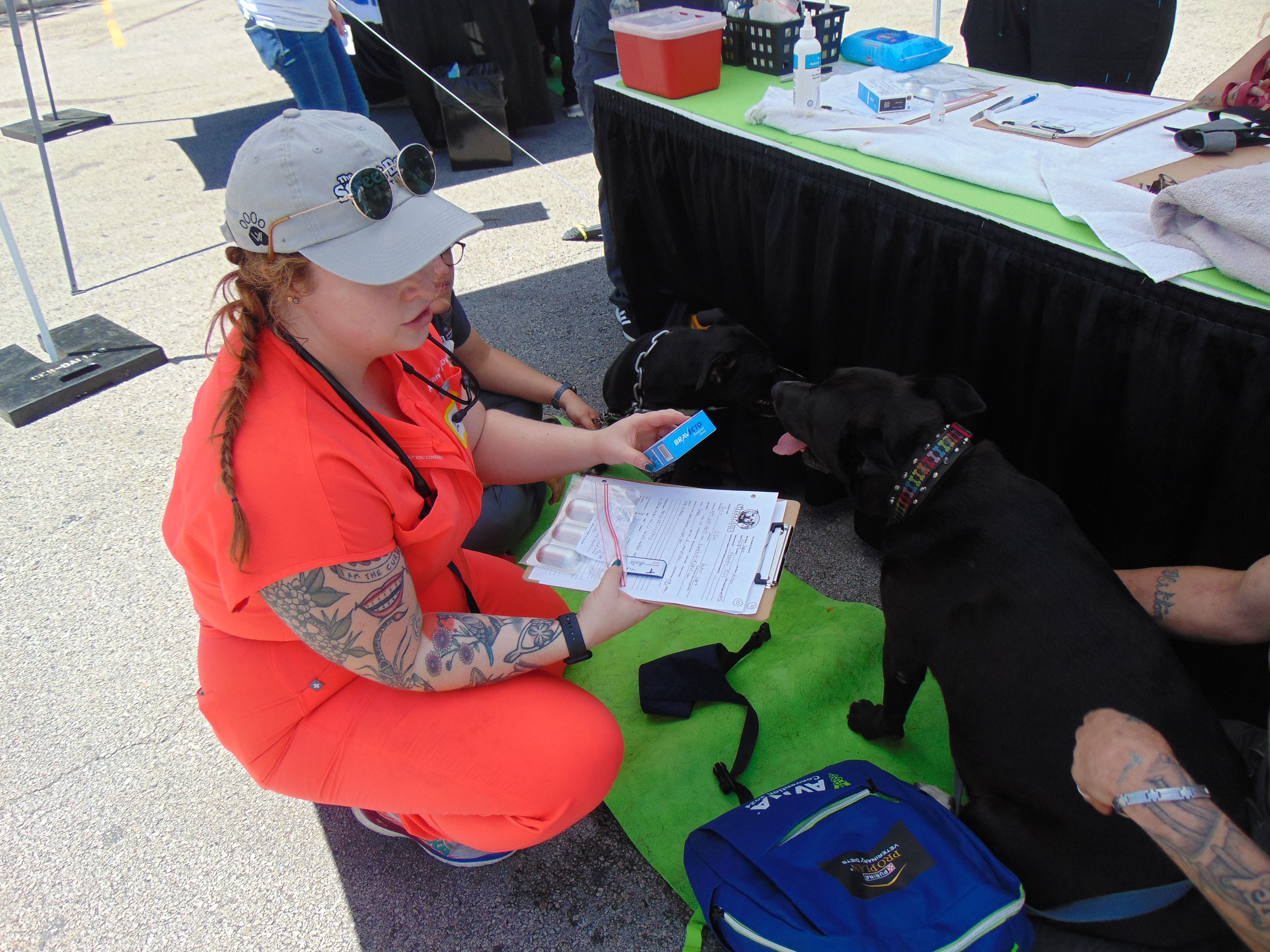 Veterinary Clinic at AVMA 2024