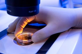 Experimental drug found to slow bone cancer cell growth in dog and human lab tests