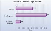 what does epi in dogs mean