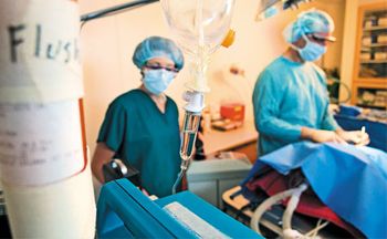 vet-nurse-450.jpg