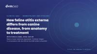 How feline otitis externa differs from canine disease, from anatomy to treatment
