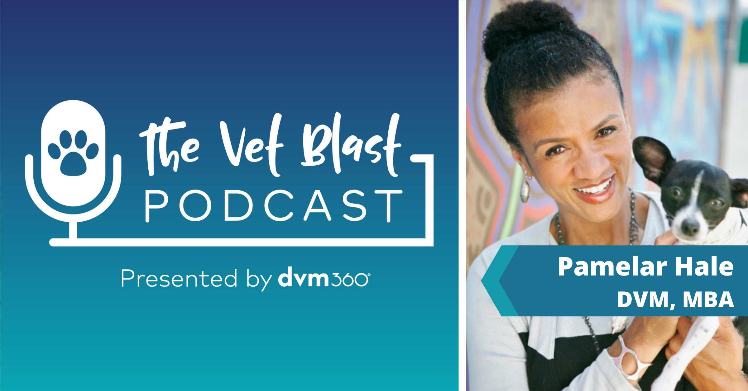 How to ace the interview and observation as a new vet graduate 12 How to ace the interview and observation as a new vet graduate