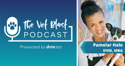 Veterinary recruiting in the age of Zoom interviews