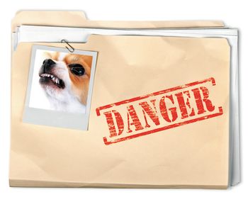 veterinary-file-paper-clip-paper-shutterstock-273223628-body.jpg
