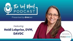 Hyaluronic acid in periodontal treatment 