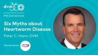 Six myths about heartworm disease