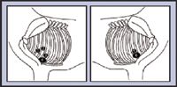 i4-282246-1384766035133.jpg