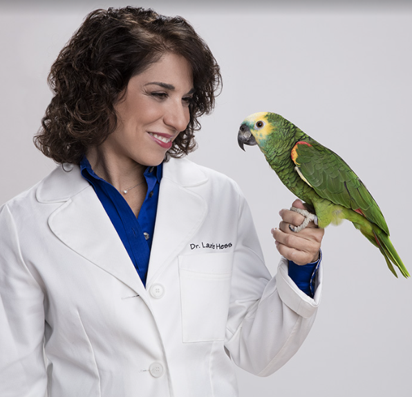 (Photo courtesy of Merck Veterinary Manual)