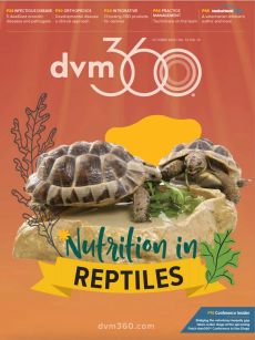 dvm360 October 2022