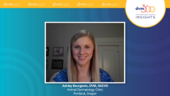 EP. 3 Minimum Dermatologic Database of an Itchy Dog