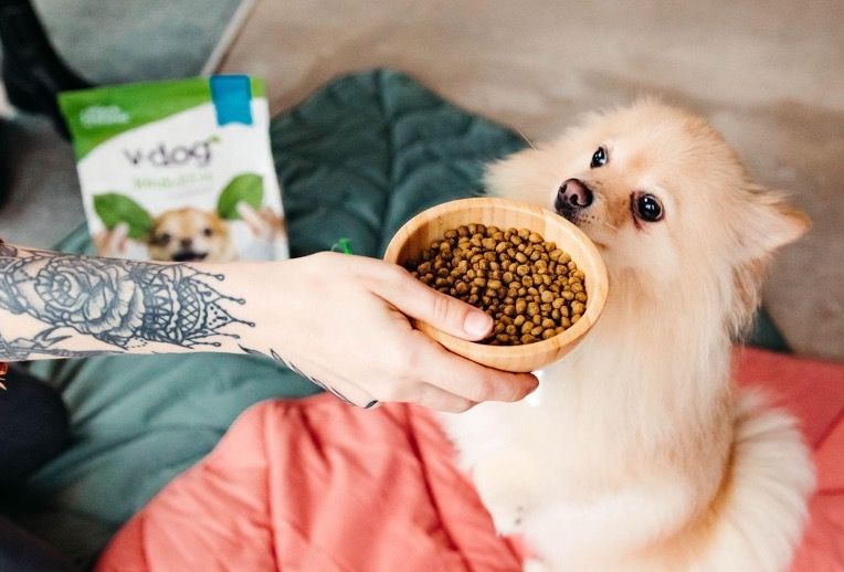 Canine nutrition study results support plant-based diet