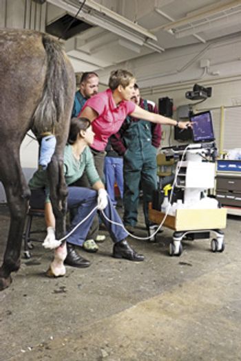 veterinary_Brounts-IMG_3571_220px.jpg