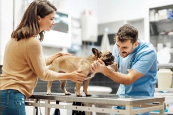 Veterinary client