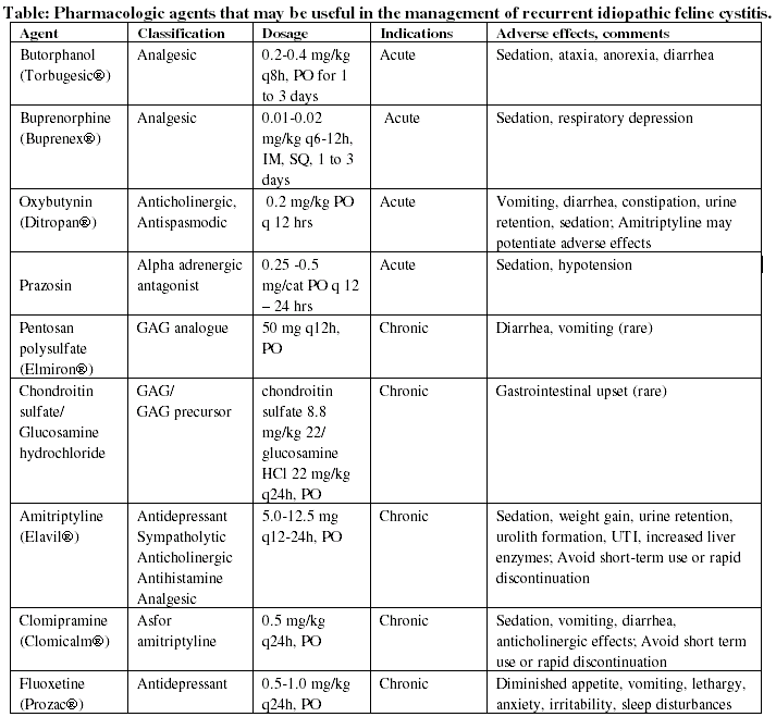 Management of refractory inflammatory feline lower urinary tract ...