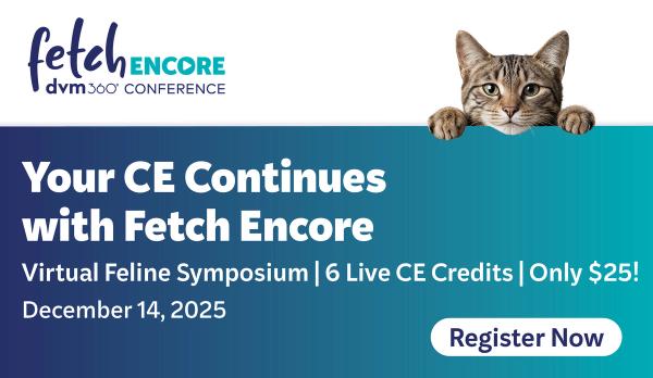 Fetch Encore 2025