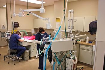 3_ConejoValleyVeterinaryHospital_Dental_medium.jpg