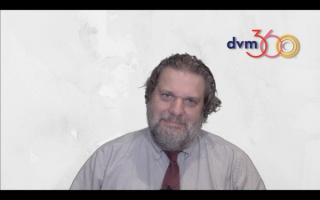 Potential causes of hepatic lipidosis in cats