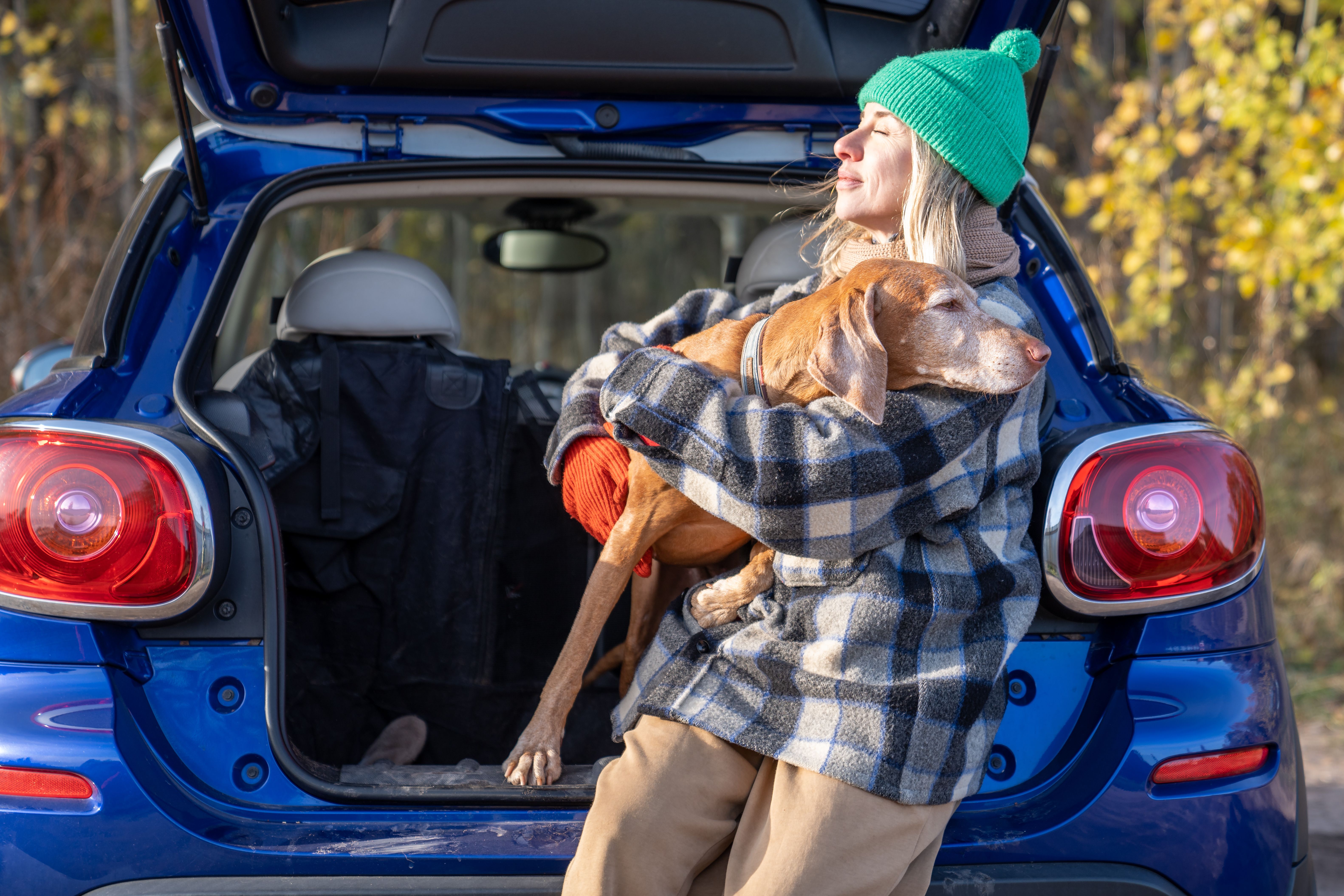 Poverty in the United States limits pet owners’ ability to afford veterinary care Poverty in the United States limits pet owners’ ability to afford veterinary care