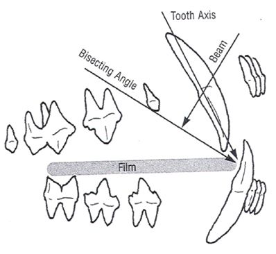 Figure3-648142-1384342876860.jpg