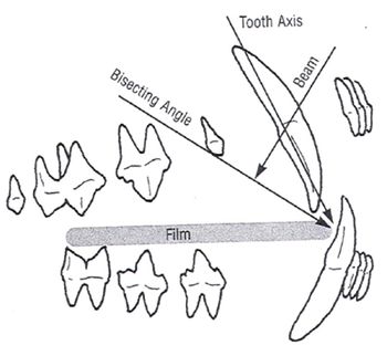 Figure3-648142-1384342876860.jpg